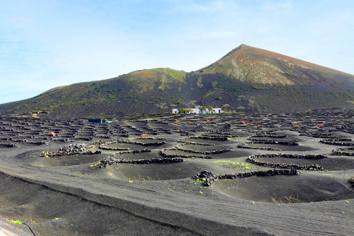 Paisaje Protegido de La Geria, en Lanzarote